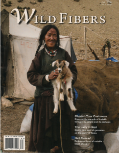Wild Fibers Magazine Fall 2008